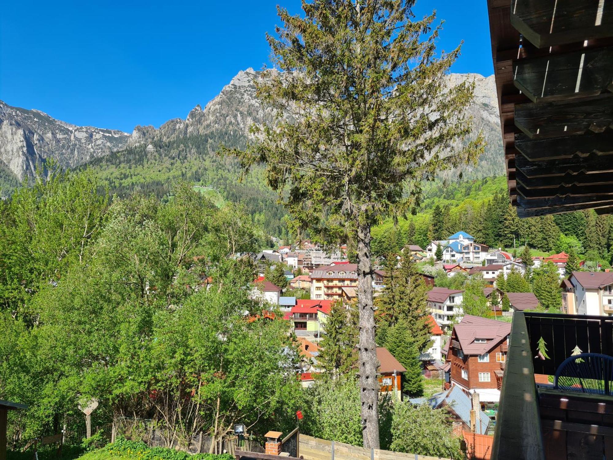 Casa Florescu Buşteni Εξωτερικό φωτογραφία